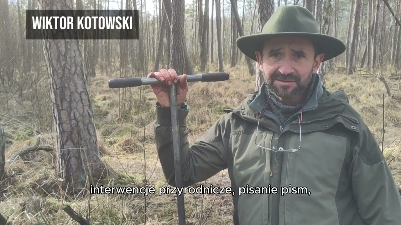 Jak wygląda praktyka ratowania ginących mokradeł i na co potrzebne są środki