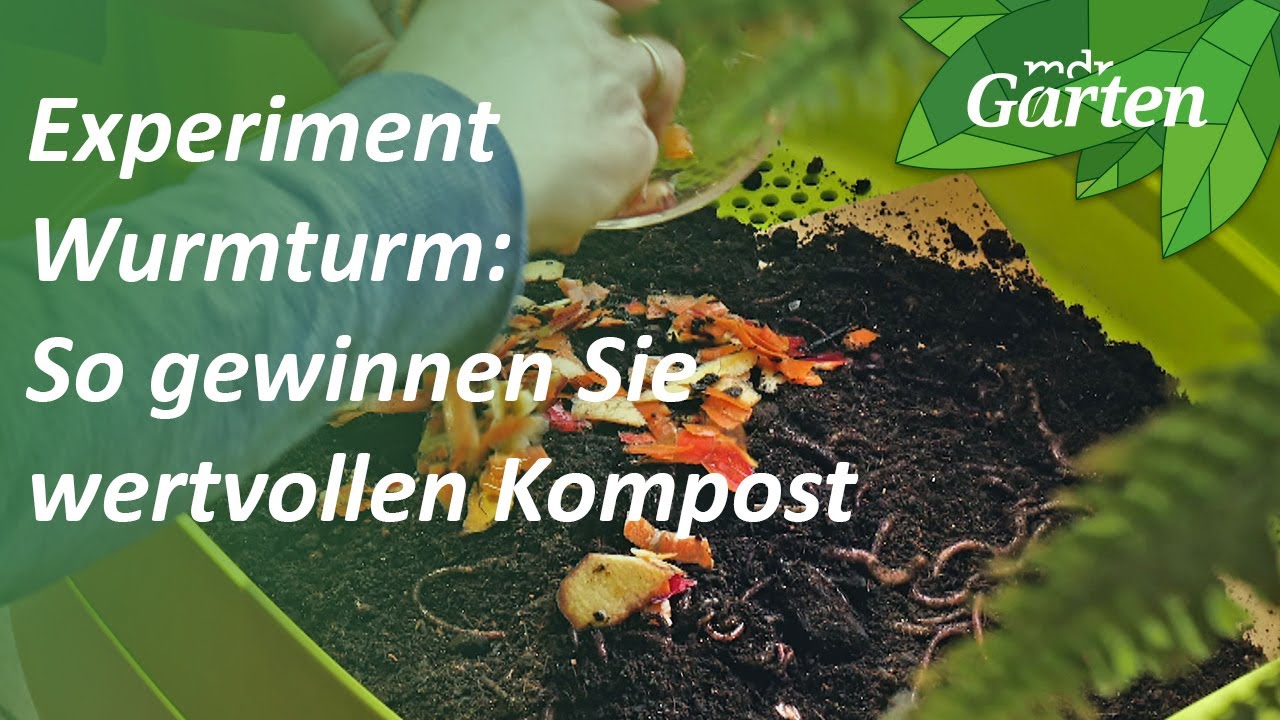 Experiment Wurmturm: So fühlen sich Kompostwürmer wohl | MDR Garten