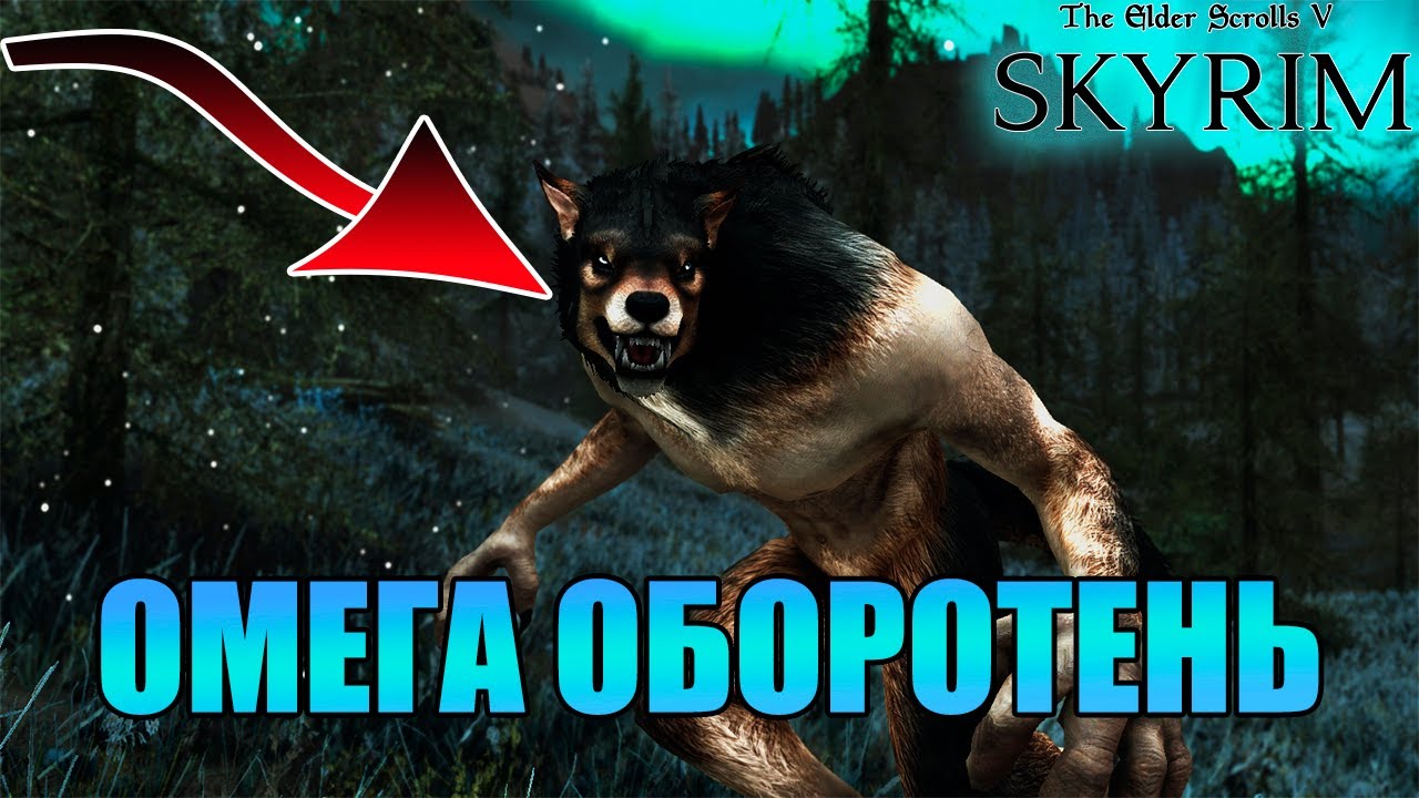 ЭТОТ МОД СДЕЛАЕТ ТЕБЯ НАСТОЯЩИМ ВЕРВОЛЬФОМ/ВЕРБЕРОМ | SKYRIM LE/SE/AE 🐺