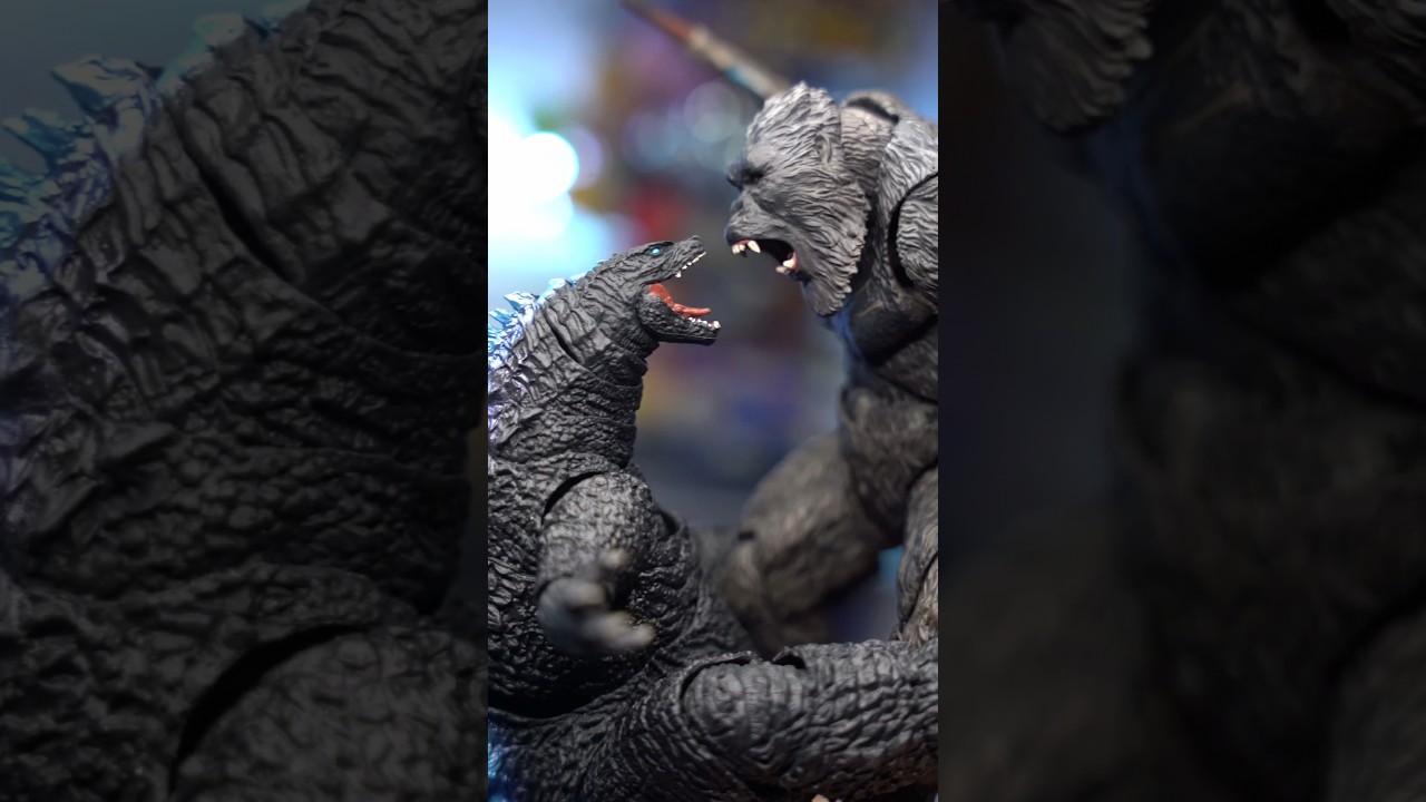 SH monsterarts kong 2024 is incredible #actionfigures #godzilla #kingkong #kong  #godzillavskong