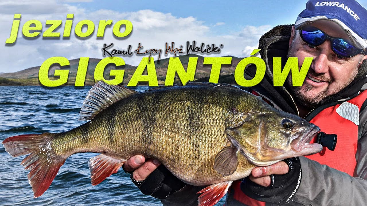 GIGANTYCZNE okonie i jezioro gigantów / odc. 26