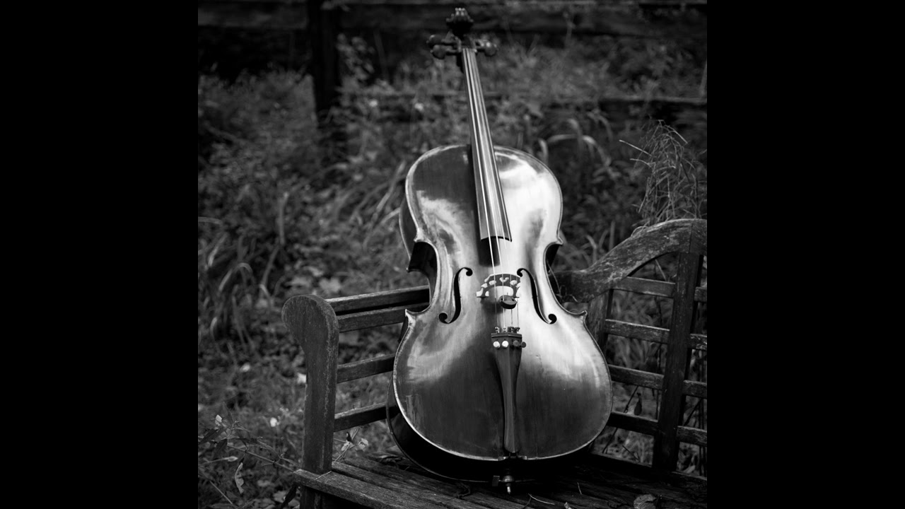 Wander My Friends (Cello Cover)