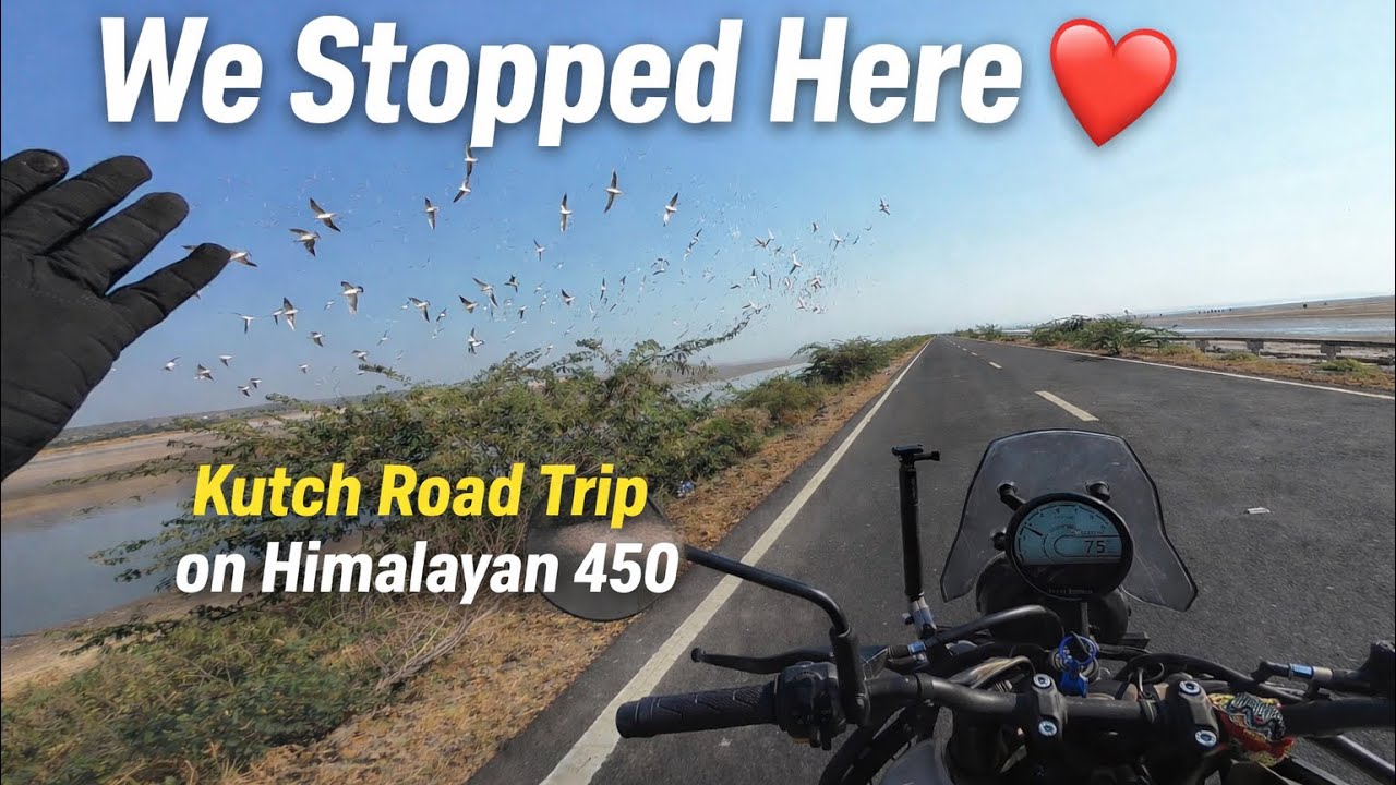 Ending Our Kutch Road Trip | Flamingos on the Way Back 🦩 | Himalayan 450