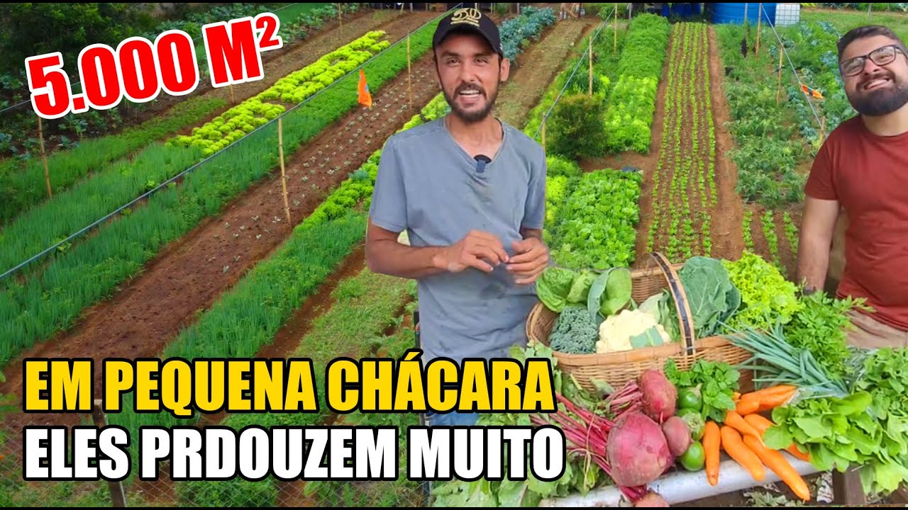 A GRANDE VARIEDADE DA HORTA PAZ E BEM