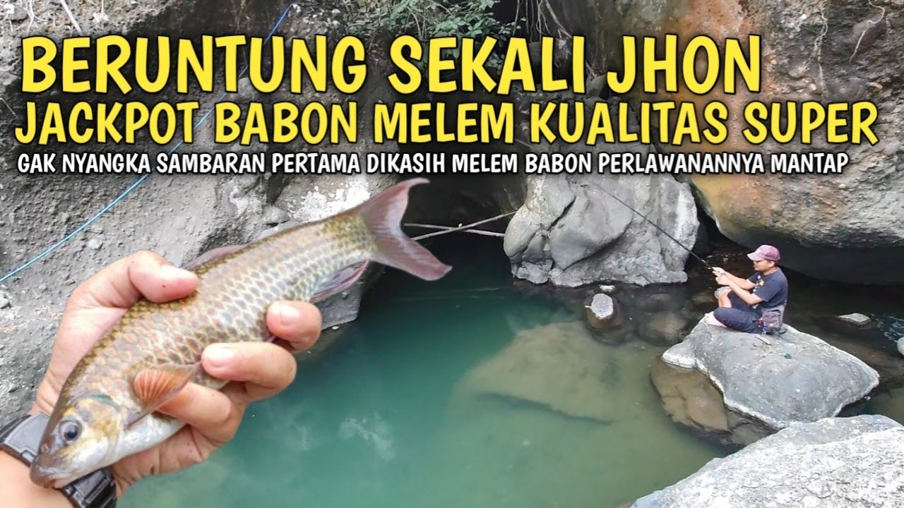 SPOT PEGUNUNGAN A1 MELEMNYA UGAL-UGALAN!! MANCING WADER DAN MELEM UMPAN LUMUT BATU TEKNIK KUMBUL