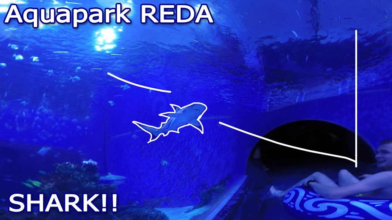 Shark Water Slide / Zjeżdzalnia z Rekinami - Aquapark Reda - FullHD 1080p