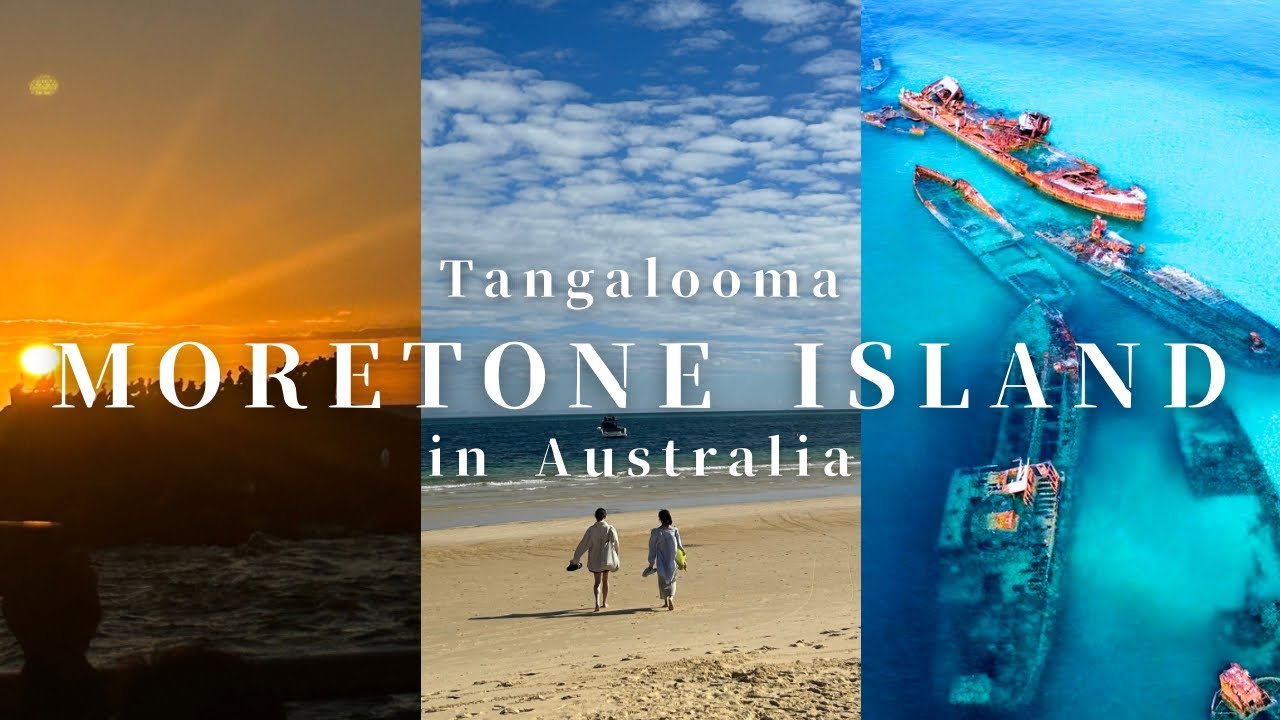 【Australia🇦🇺】ブリスベンに来たら絶対行くべき15隻の沈没船モートン島🐬🏝️シュノーケリング|サンセットクルーズ|野生のイルカ達との触れ合い|