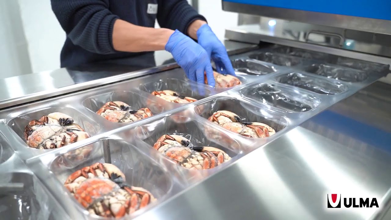 Conditionnement sous-vide de crabes en thermoformage avec film rétractable