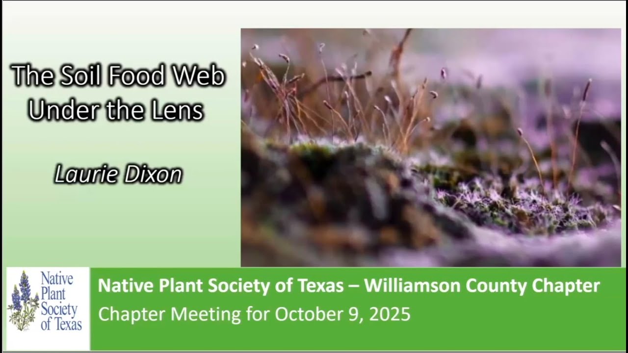 Oct 2025: The Soil Food Web Under the Lens of a Microscope w/Laurie Dixon
