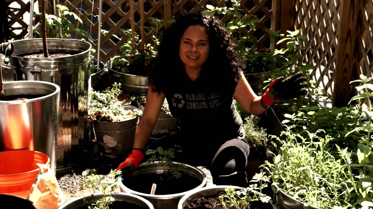 Container Gardening with Grape Vines