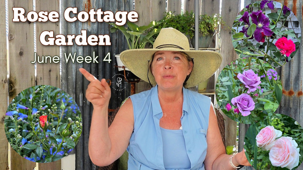 Wonderful Weekly Garden Tour - Rose Cottage Garden - Flower Patch