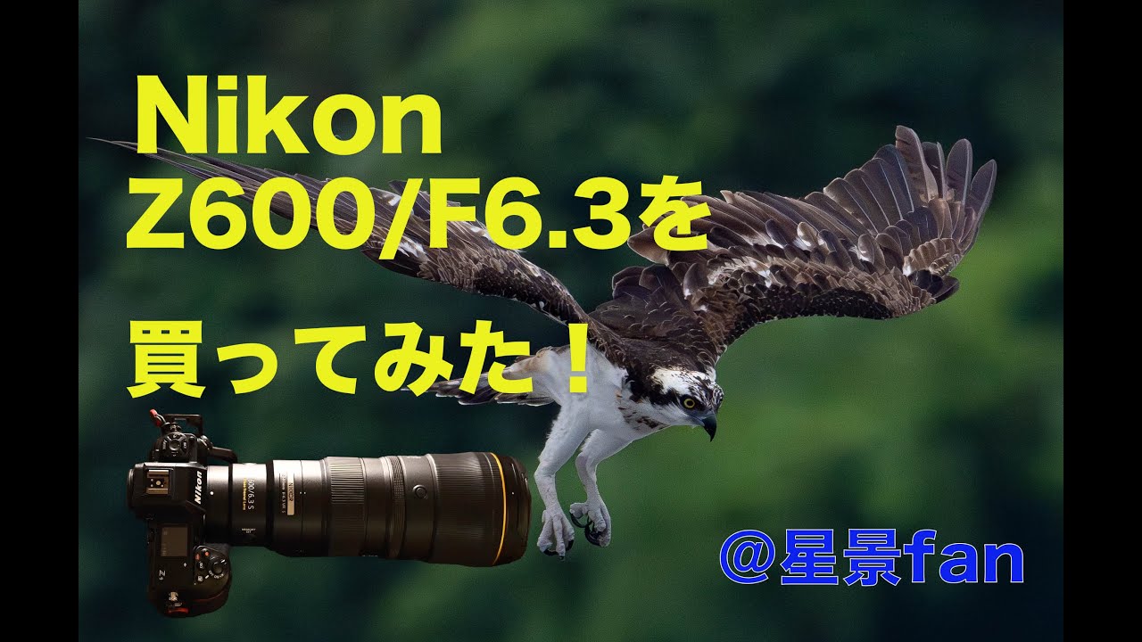 Nikon Z600/F6.3 を買ってみた！実写作例あり