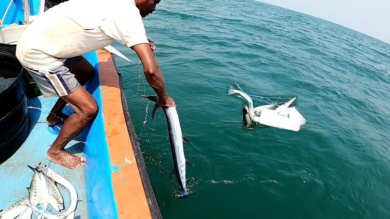 FISHING IN THE SEA