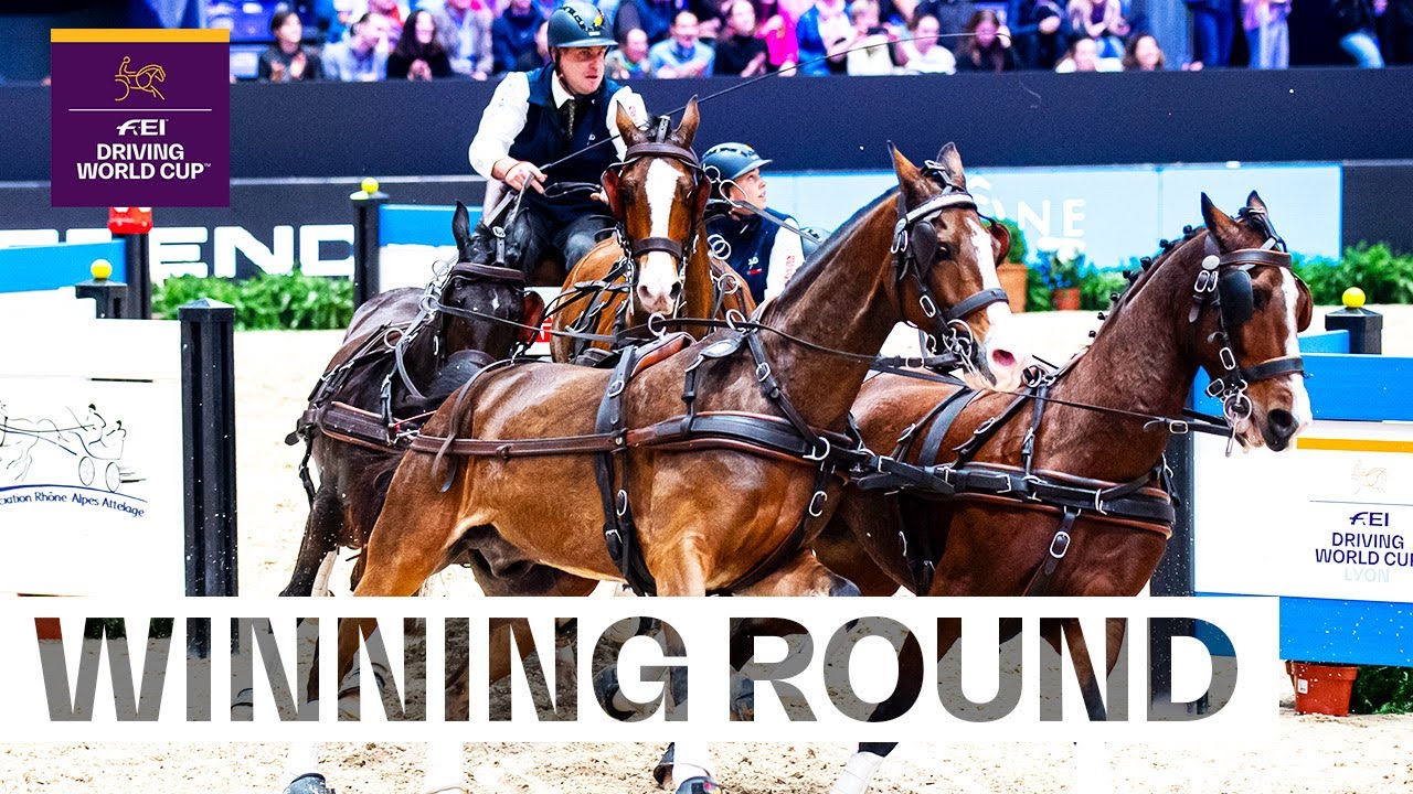 Dries drives to victory in Lyon! 🥇🇫🇷 |  FEI Driving World Cup™ Lyon 2024
