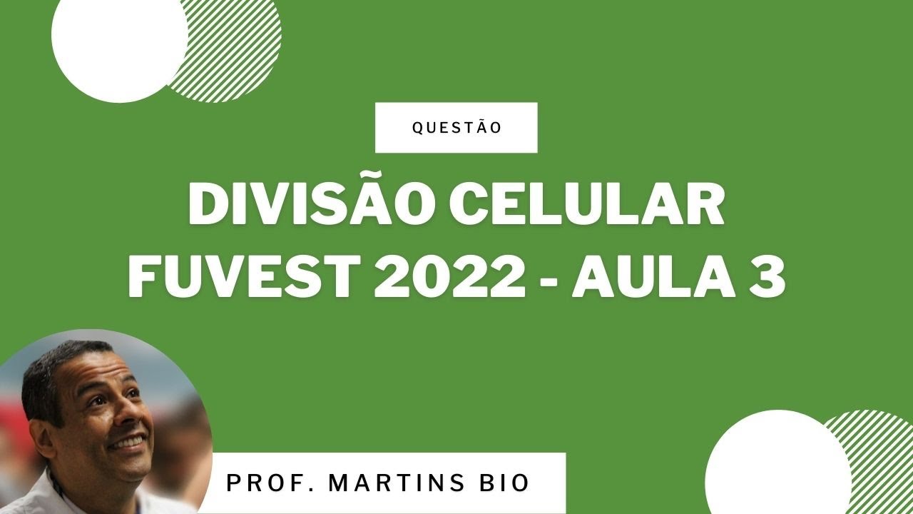 QUESTÃO FUVEST - ETE - 2022 - DIVISÃO CELULAR_MITOSE_MEIOSE_PLOIDIA CELULAR