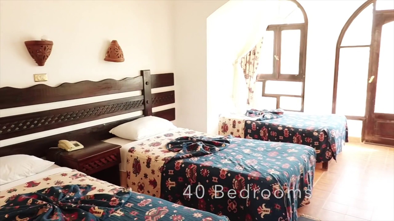 Daniela Hotel Dahab and activities close to the hotel