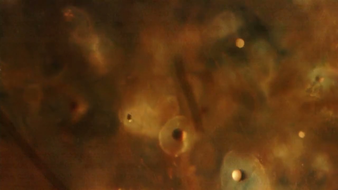 Slow Motion Analysis of a Galaxy Light Bulb's Fluid Dynamics