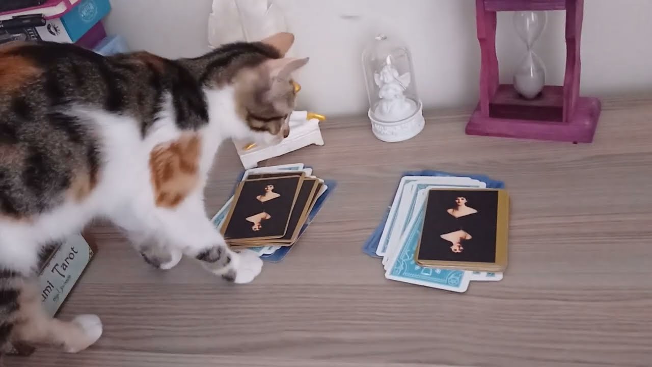 🧿Aklımdaki Kişi Beni Nasıl Birisi Olarak Görüyor?🧿 Onun Gözünde Ben Nasıl Birisiyim?Deste Seç Tarot