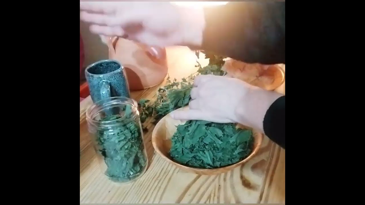 TISANA,INFUSO,DECOTTO? Preparo un infuso nutriente di ortica,depurante e drenante,riminalizzante.