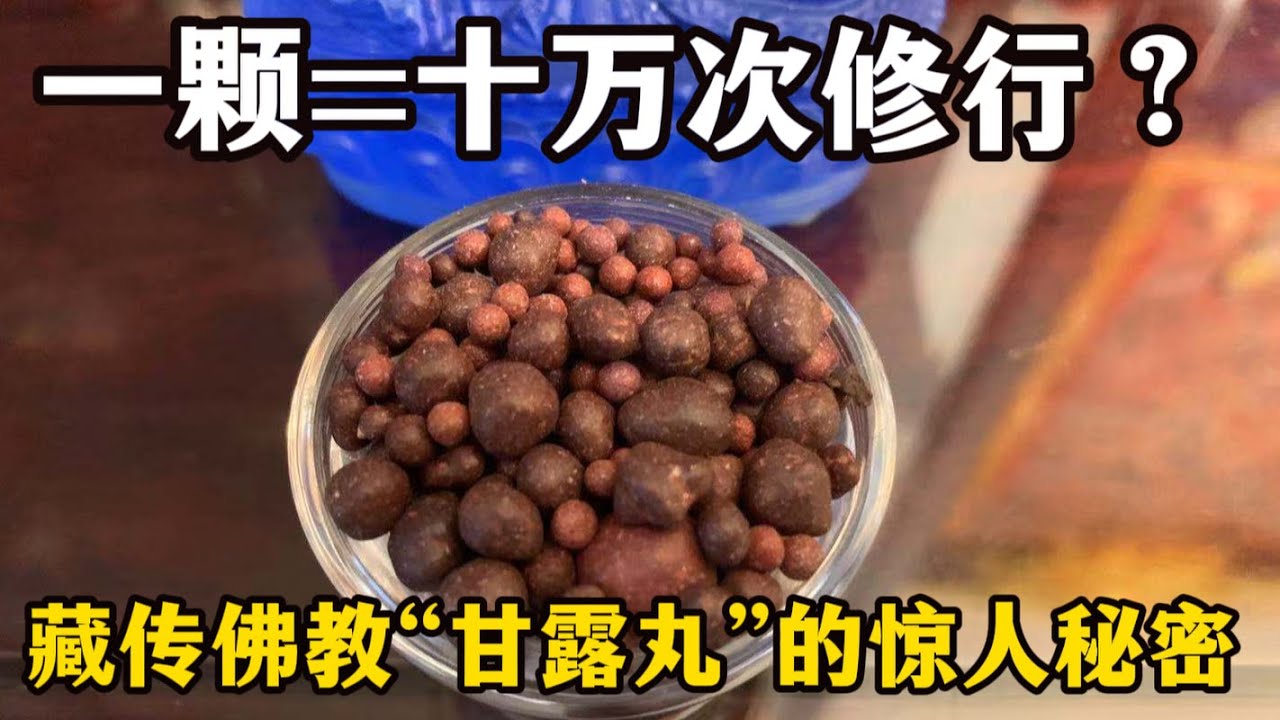 一颗小丸子，顶十万次修行？藏传佛教“甘露丸”的惊人秘密！