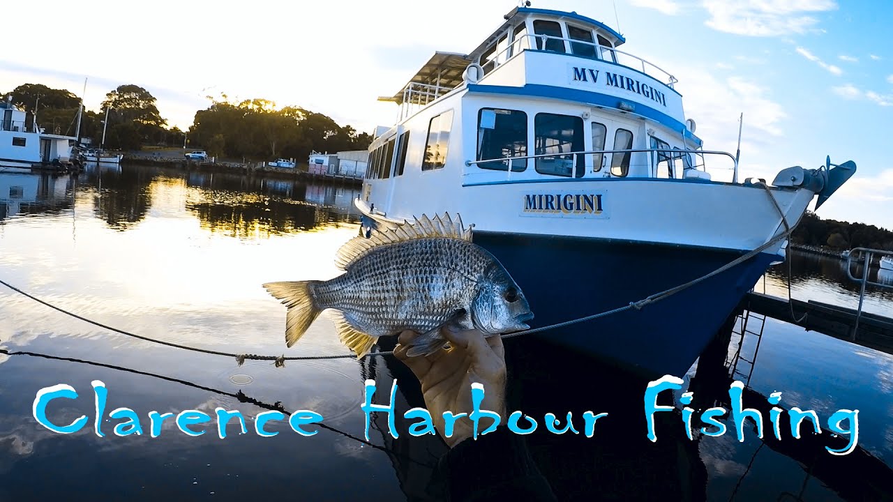 Clarence river / Harbour Fishing