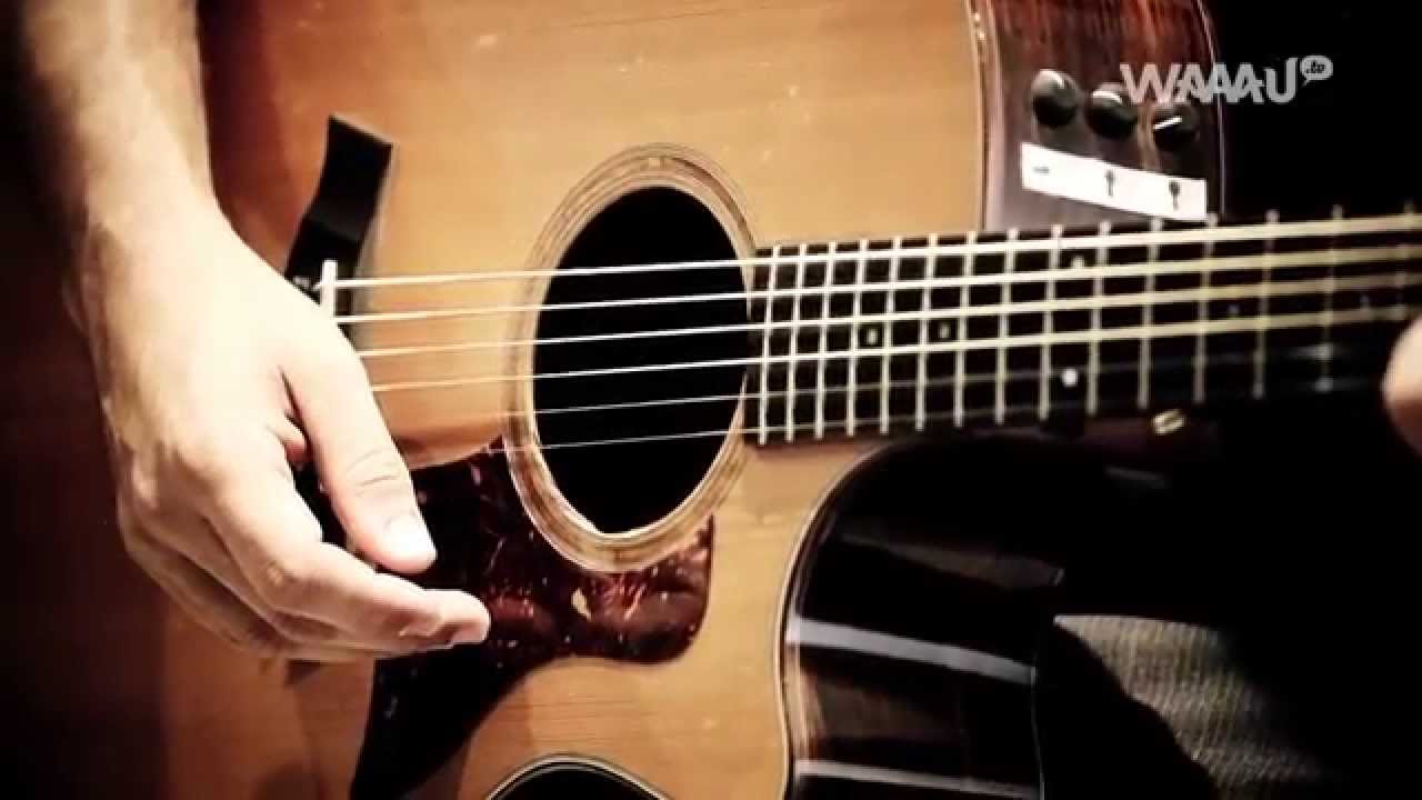 Iron and Wine - Tree By The River - WaaauTV