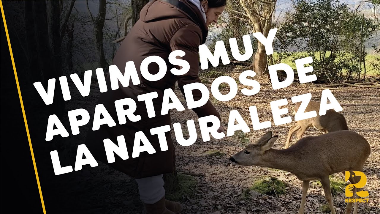 Refugio de fauna BASONDO en Vizcaya | Albergan fauna silvestre amenazada 🦌| Bisonte europeo