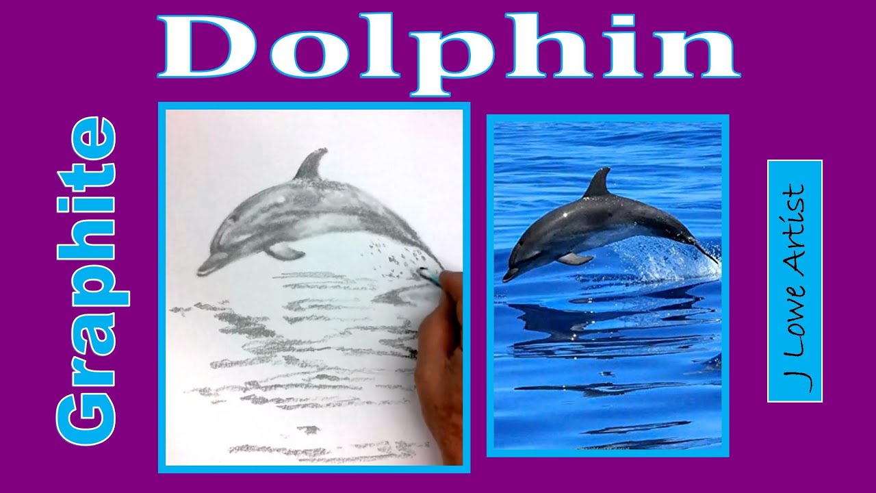 HOW TO DRAW A DOLPHIN JUMPING OUT OF WATER with Pencil
