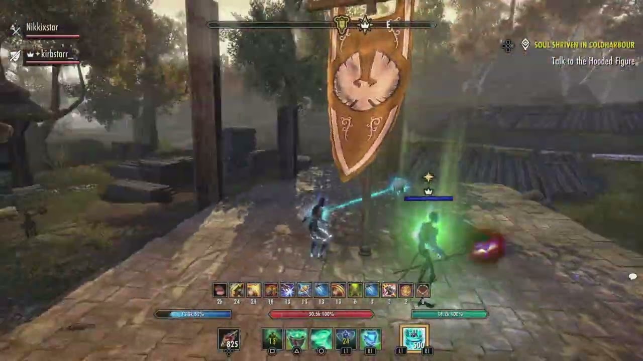 ESO PvP Warden Pocket Healer 2