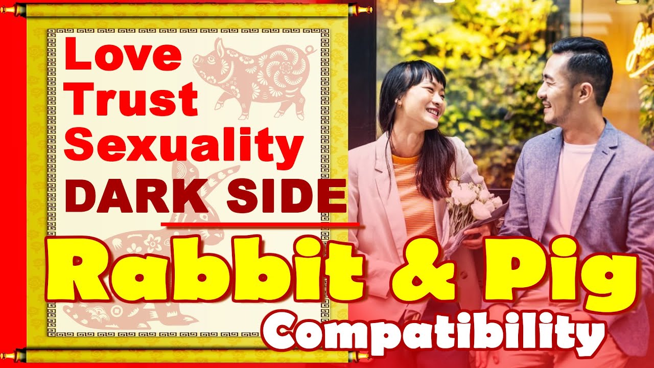 Rabbit & Pig Compatibility in Love Life, Trust, Intimacy | Rabbit & Pig Chinese Zodiac Compatibility