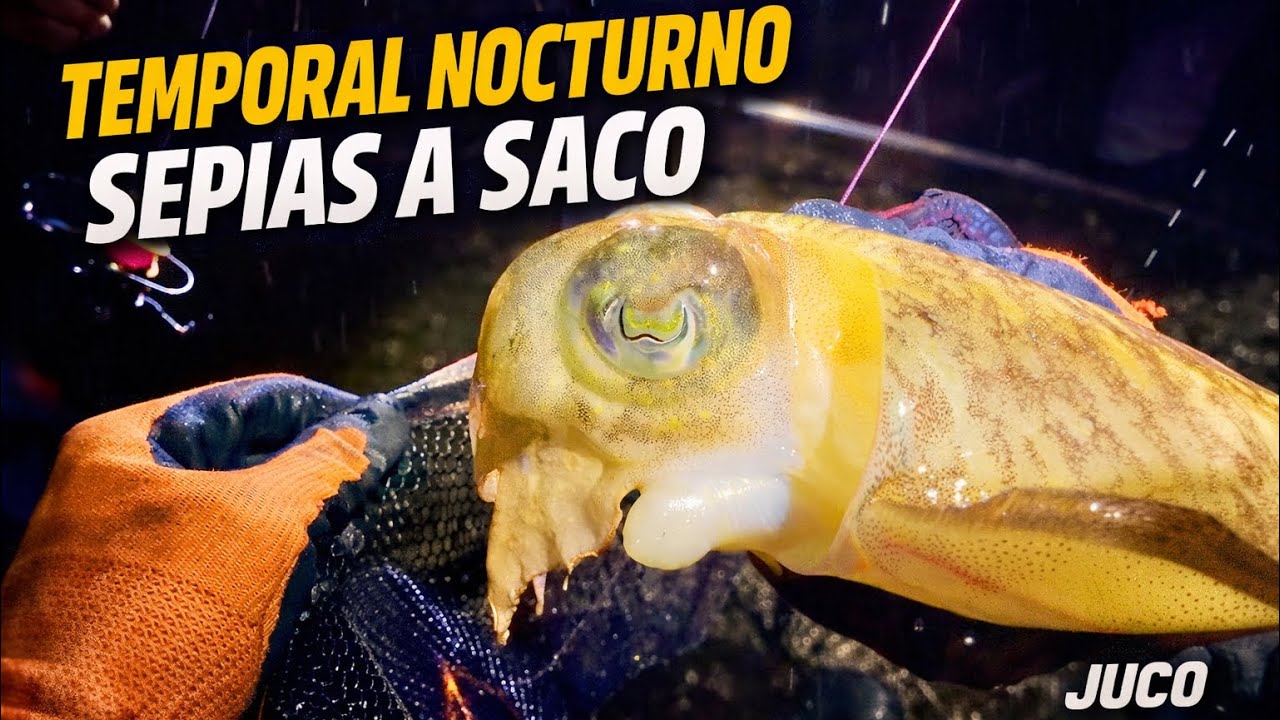 Pesca nocturna de sepias a EGING con viento y lluvia | Jornada completa (temporal)