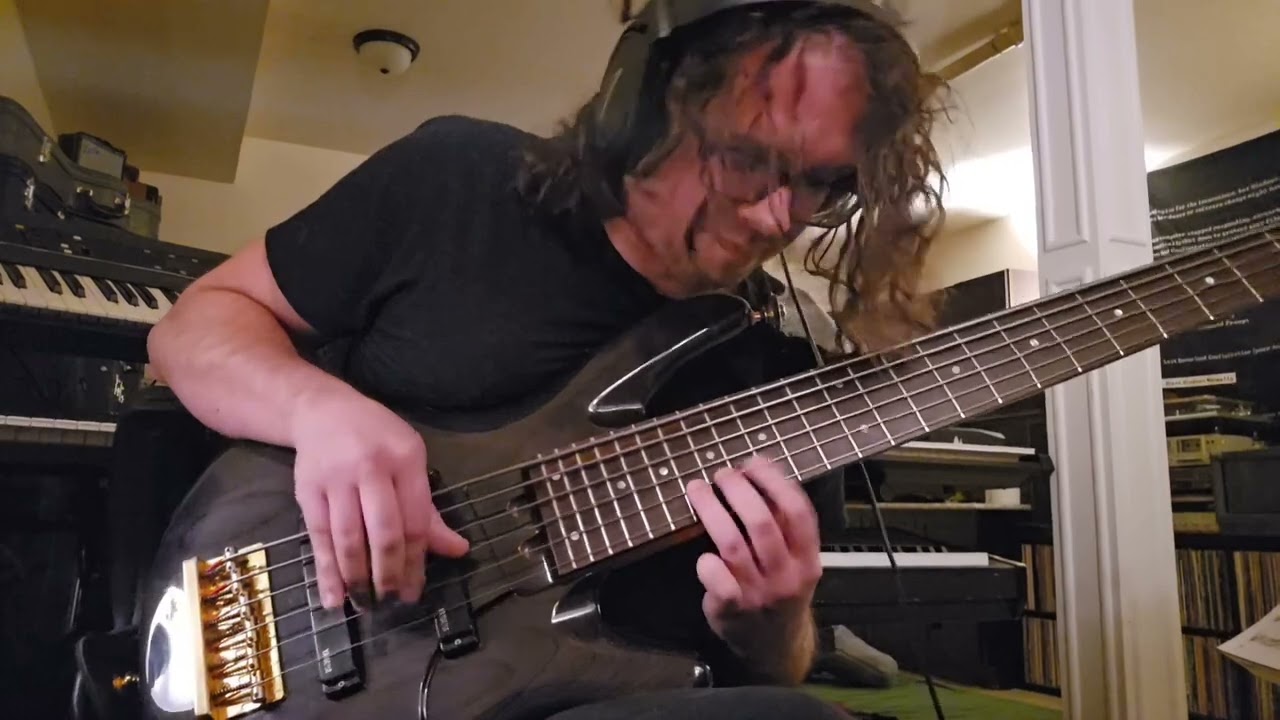 Pat Metheny Group - Have You Heard - bass