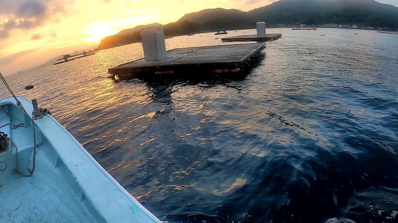 【新規開拓】山口県の日本海側にある筏でかぶせ釣りしてみたら…