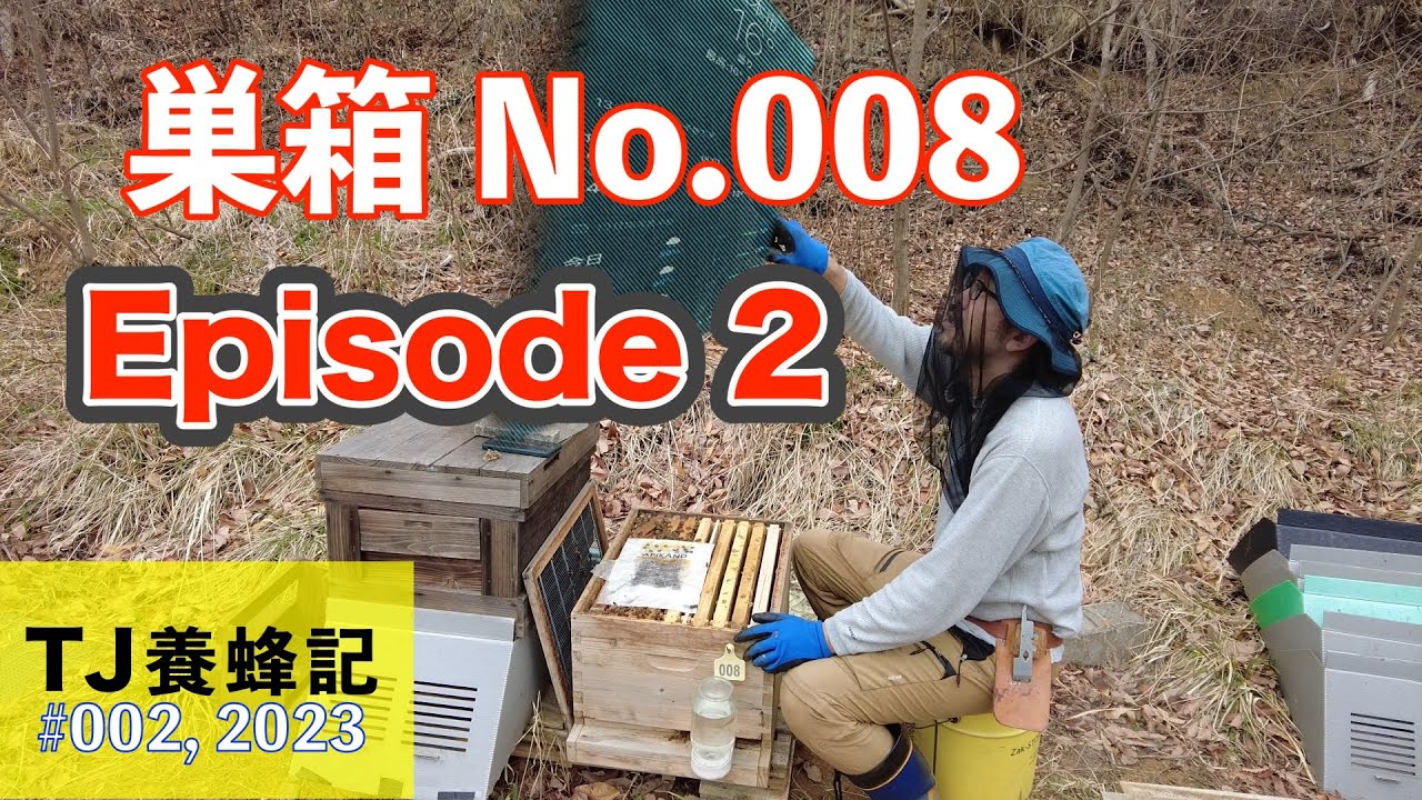今年最初のミツバチを確認 （巣箱No.008エピソード2 ）3月