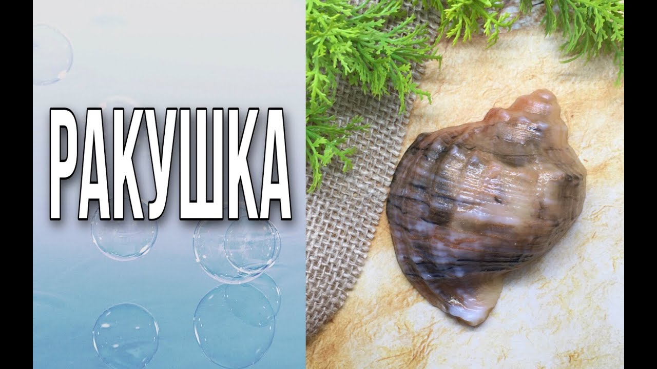 Мыло «Ракушка»/Мыловарение/Soap
