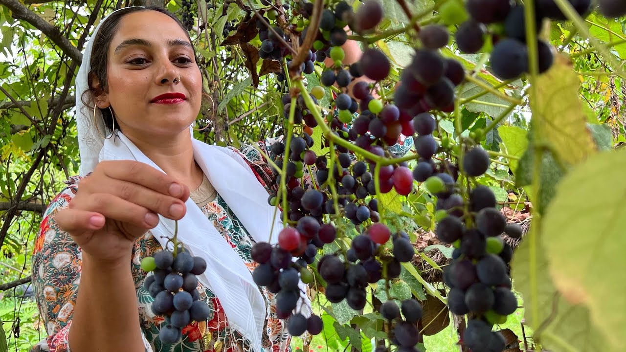 Harvesting Grapes and Making Jam on the Fire | Country Side Iran