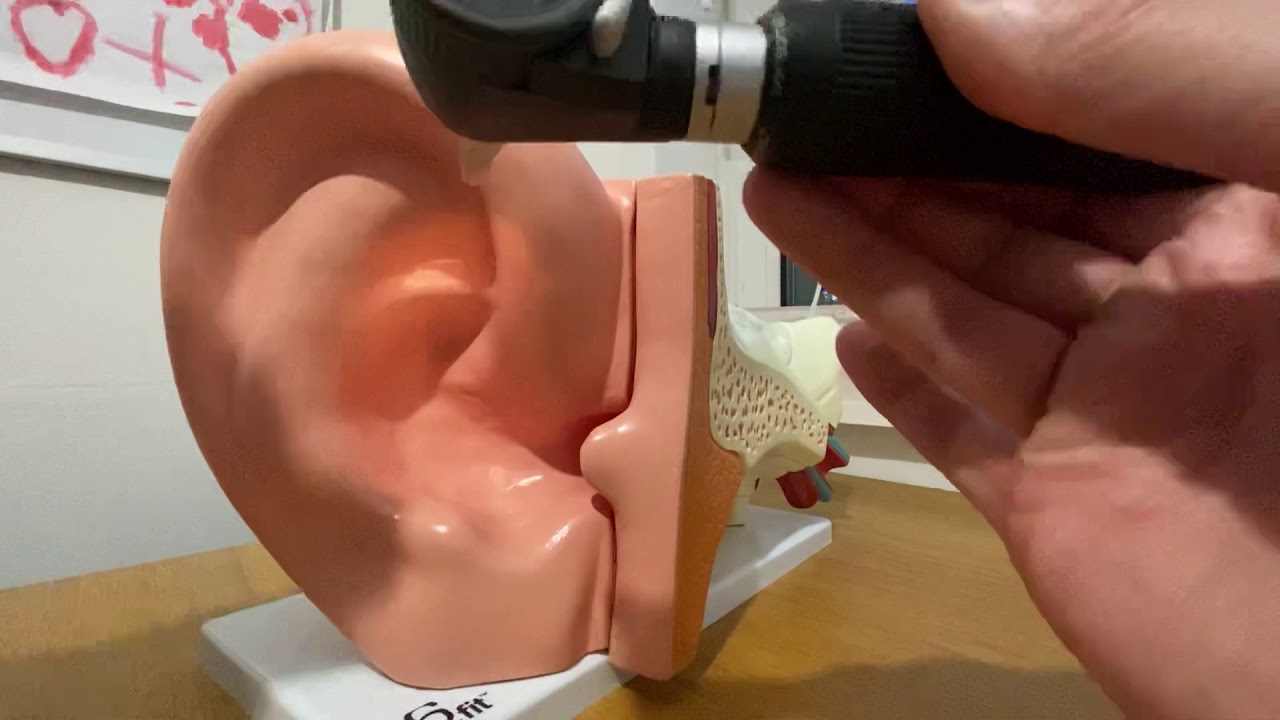 Otoscopy - The Ear Examination
