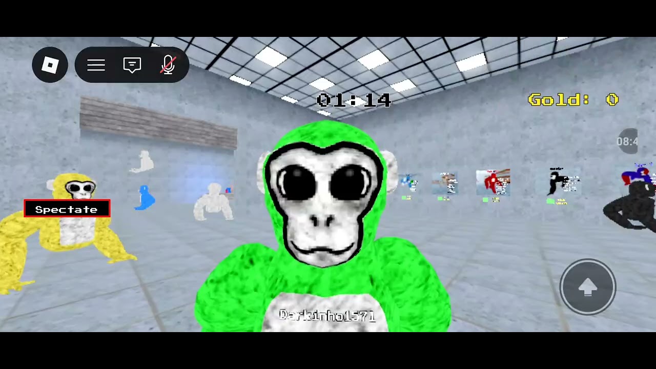 40 minutos de jogando todos os gamemodes do lethal ape 