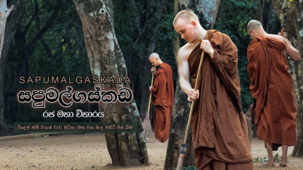 Meditate in Sri Lanka | සපුමල්ගස්කඩ |විදෙස් හිමිවරුන් වැඩ සිටින වන මැද පිහිටි රජ මහ විහාරය සොයා| 4K