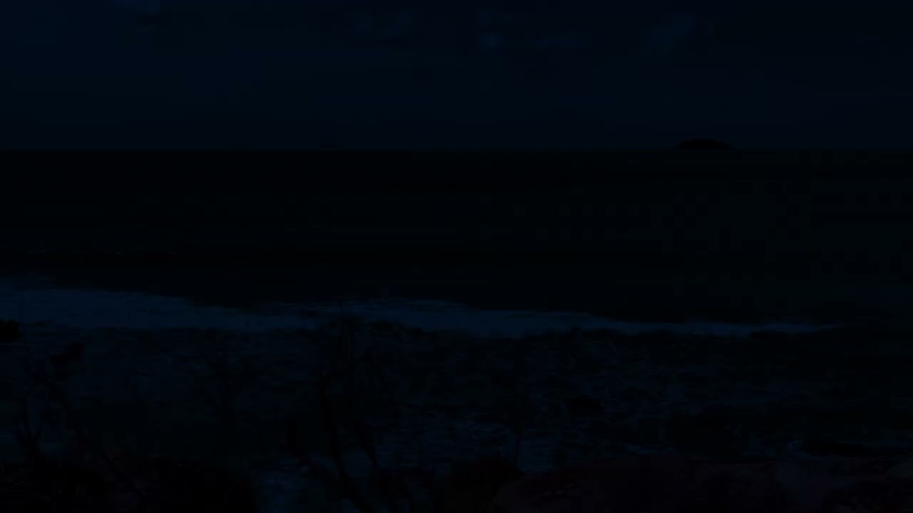 Rhythmic Ocean Waves at Night: Natural Sleep Aid, Soothing White Noise, Stay Asleep