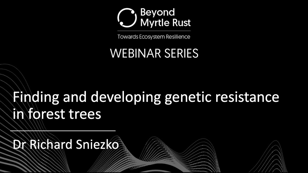 Beyond Myrtle Rust: Finding and developing genetic resistance in forest trees