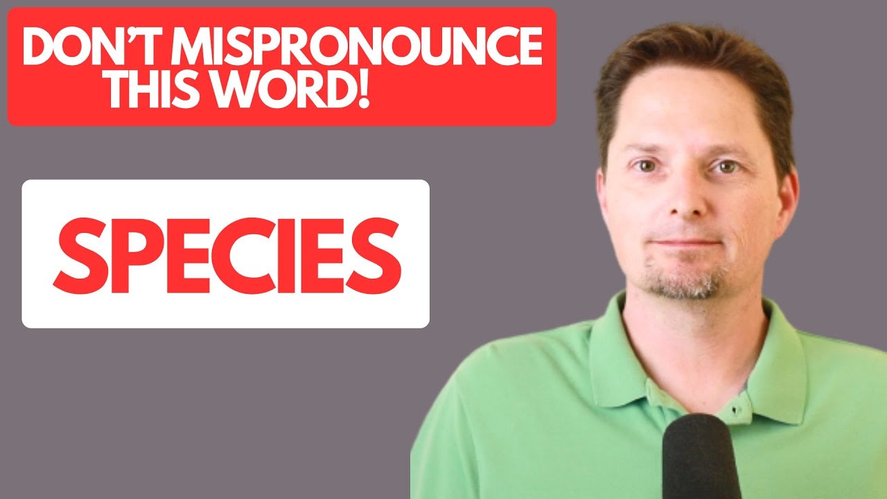 Learn English Vocabulary / species / emergencies / pharmacies / policies / American pronunciation