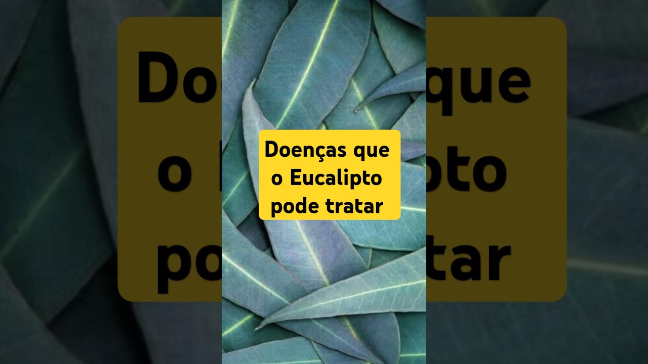 Doen&ccedil;as que o Eucalipto pode tratar