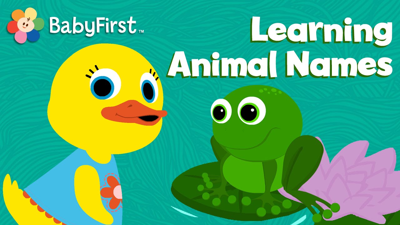 Learning Animal Sounds & Names | Animal Cartoons for Kids | Tillie Knock Knock | Children Shows