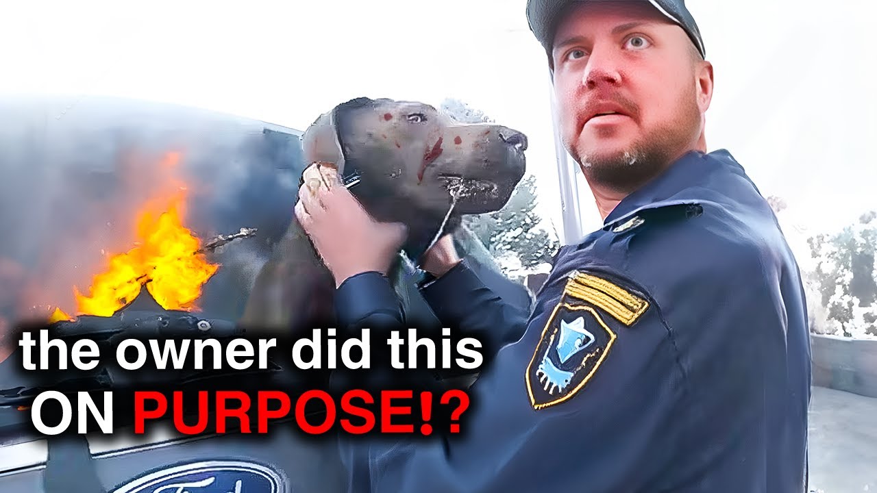 When Cops Rescue Pets From Evil Owners
