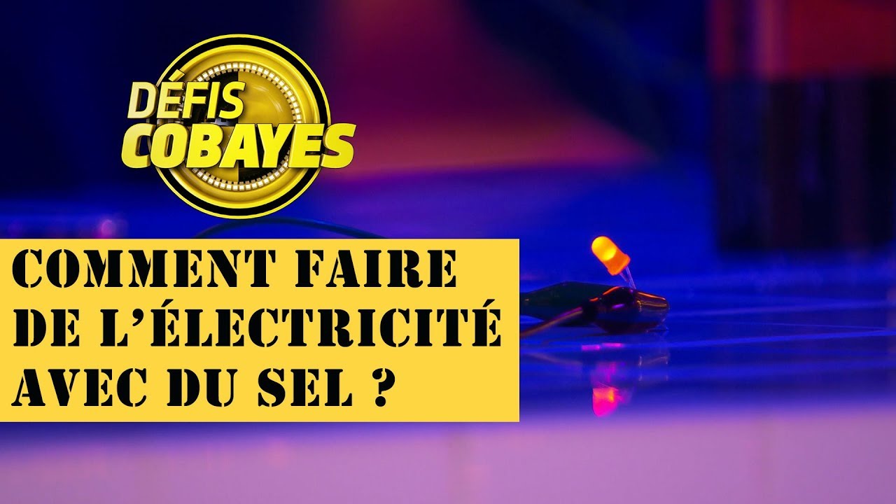 Comment faire de l'électricité avec du sel ? - Défis Cobayes - France 4