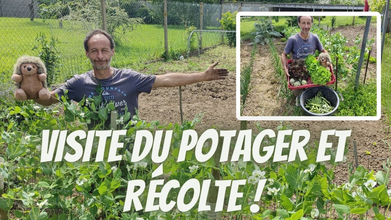 Le mois de mai au Potager ! Visite et Récolte !
