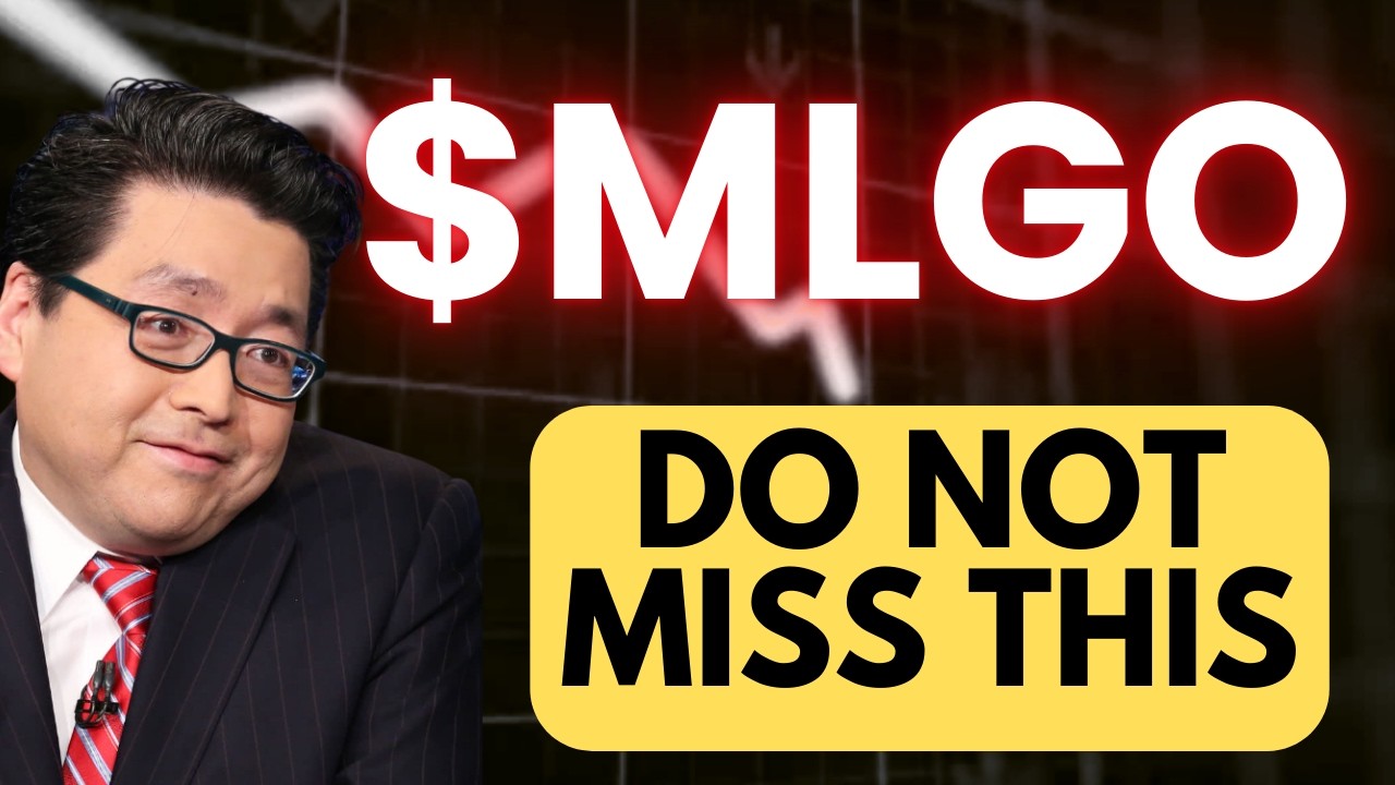 MLGO Stock (MicroAlgo Inc stock analysis) MLGO STOCK PREDICTION & analysis & news today