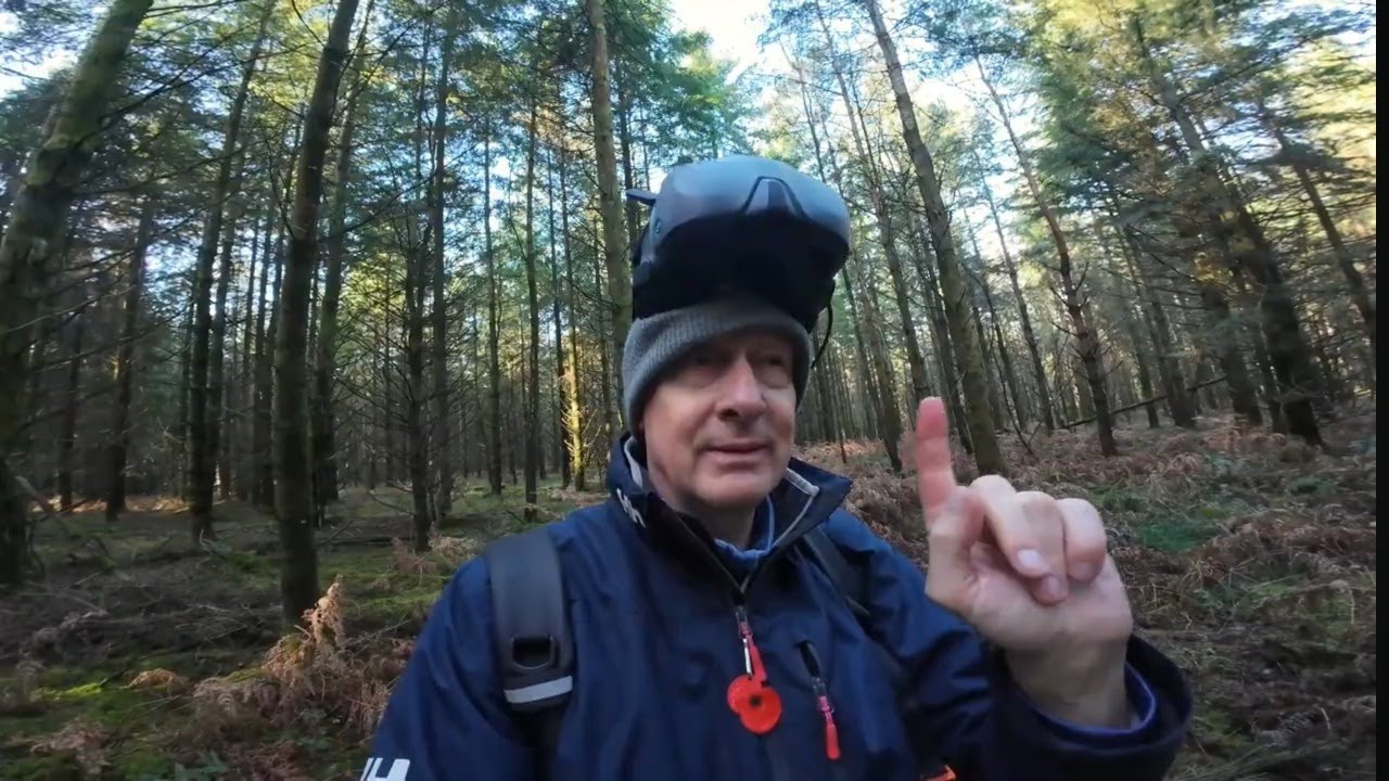 LIVE BROADCAST FROM THE FOREST