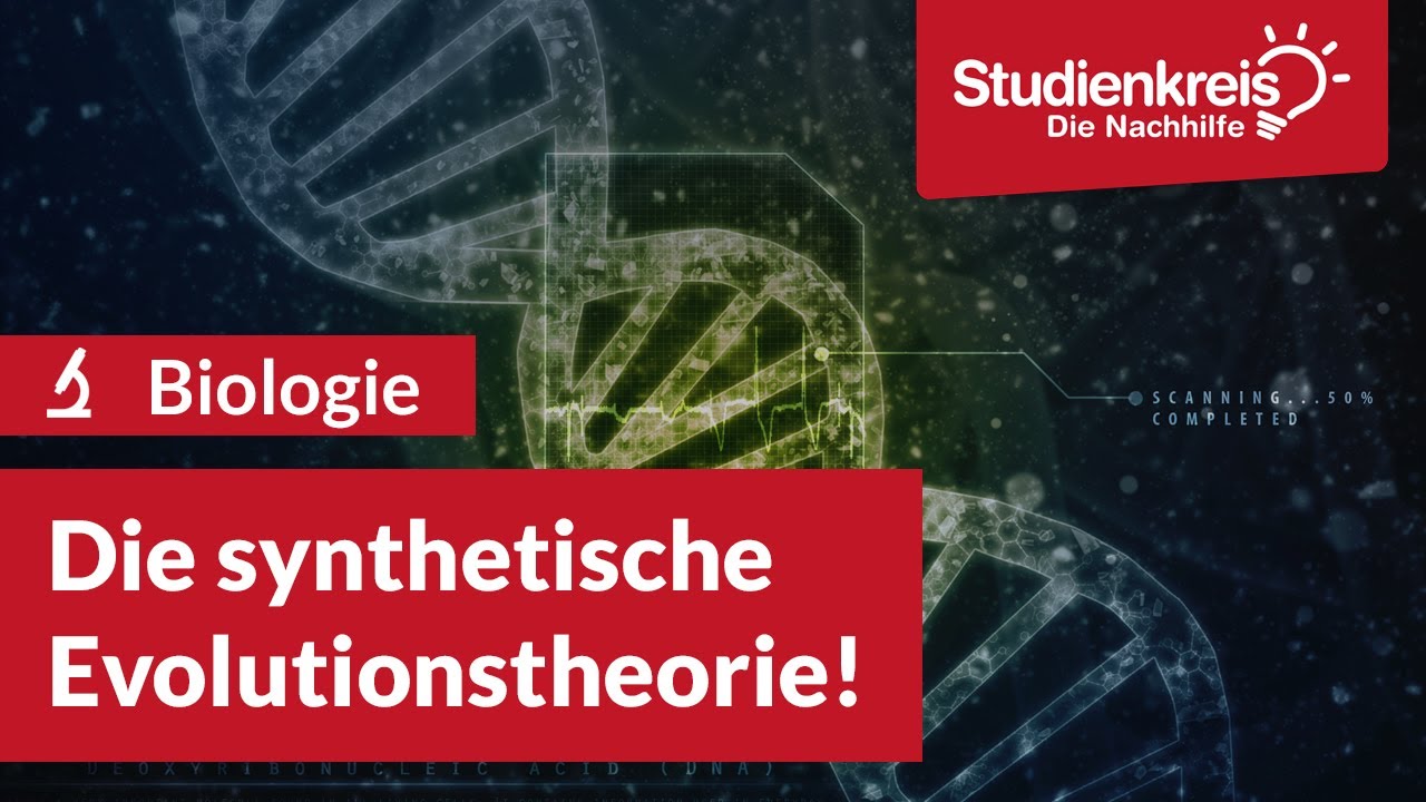 Die synthetische Evolutionstheorie! | Biologie verstehen mit dem Studienkreis